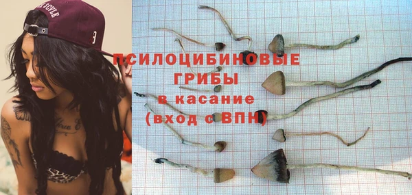 мяу мяу мука Алзамай